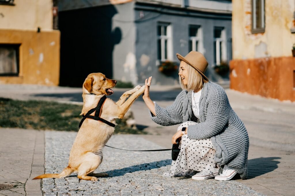 girl, dog, pet, friendship, companion, owner, caucasian, blonde, nature, caucasian female, blonde female, canine, domestic dog, doggy, happy, animal, love, woman, cute, puppy